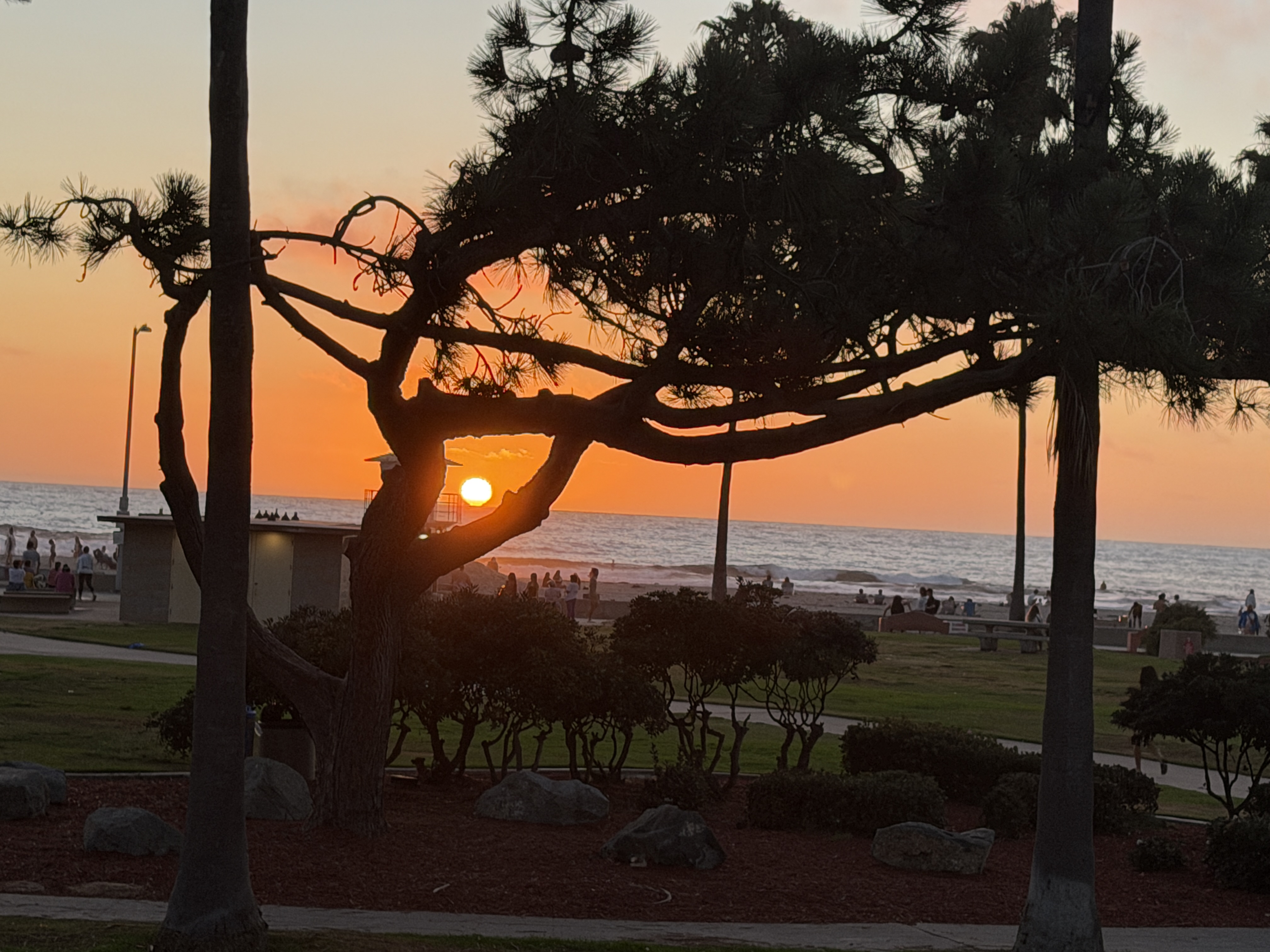 La Jolla Housing Market Update: What Buyers and Sellers Should Know in Fall 2026